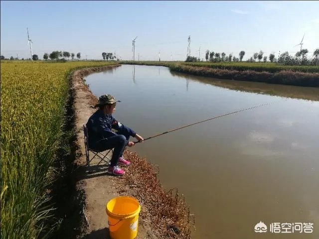 现在开个大米加工厂还有前景吗？