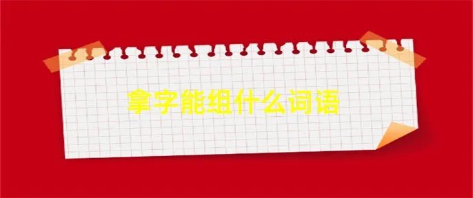 拿字能组什么词语