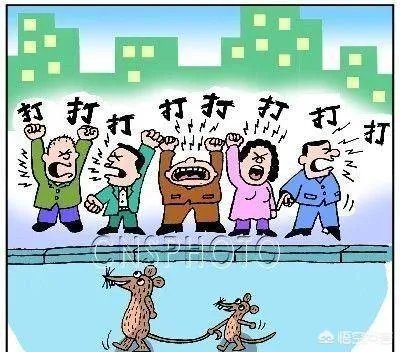 上联，蝉蜕尘埃外。下联怎么对？