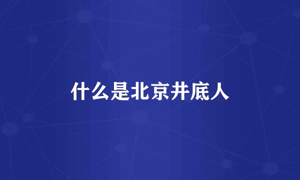 什么是北京井底人