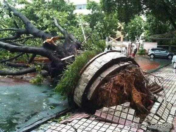 今年首个登陆我国的台风木恩要来了，对农民来说有哪些影响？