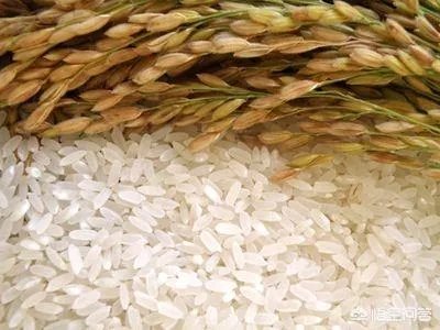 现在开个大米加工厂还有前景吗？