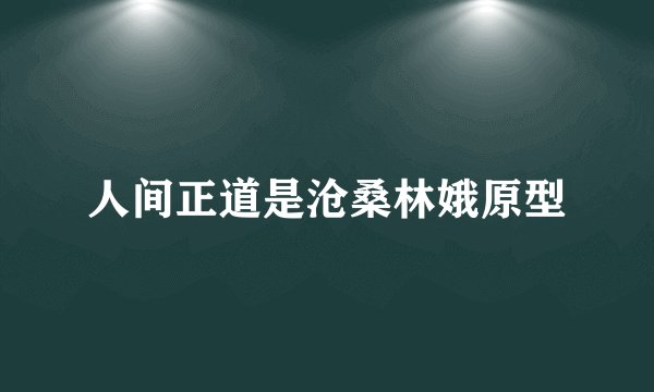 人间正道是沧桑林娥原型