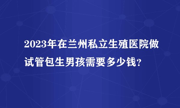 2023年在兰州私立生殖医院做试管包生男孩需要多少钱？