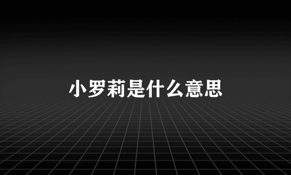 小罗莉是什么意思