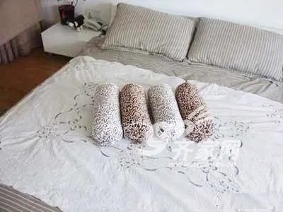 6万装30多坪mini小复式 亲吻自然风满眼都是“绿”