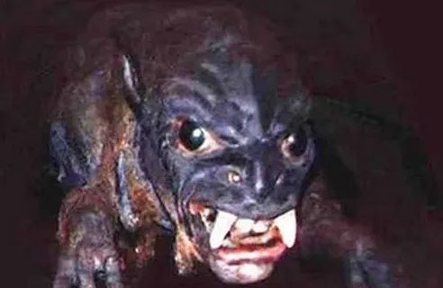 吸血怪兽的传说起源