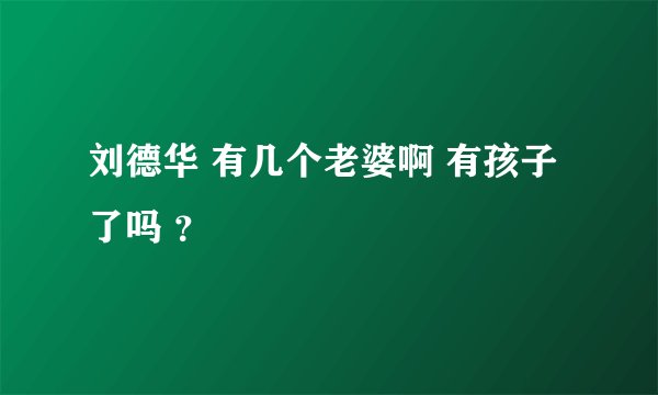 刘德华 有几个老婆啊 有孩子了吗 ？
