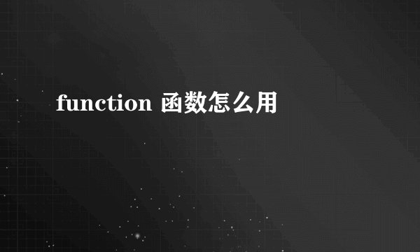 function 函数怎么用