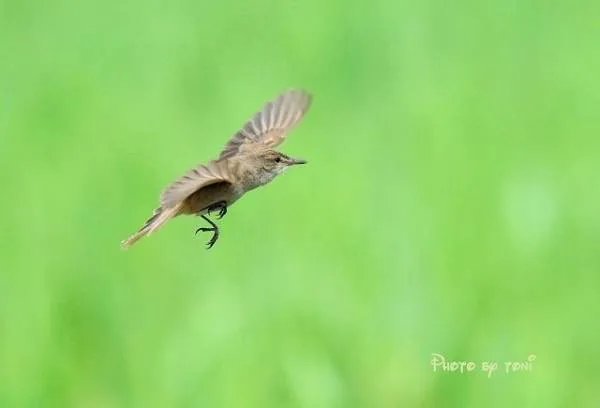 为何在辽宁阜新56平米住房售2万的情况很常见呢？