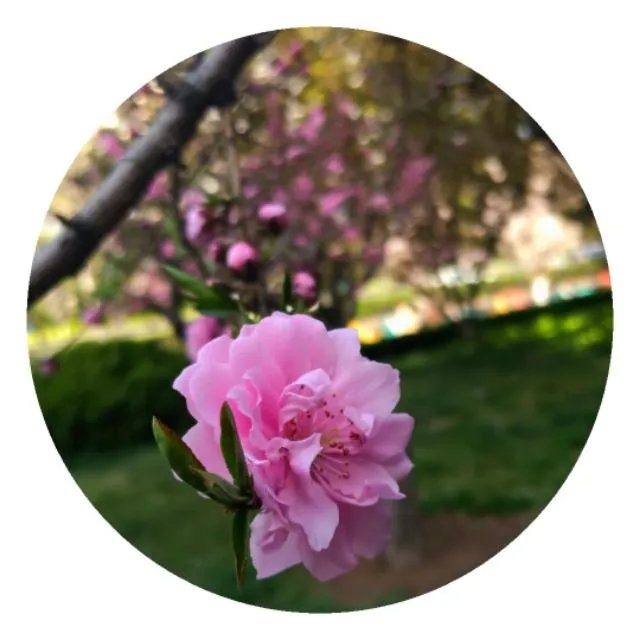 马伊琍与吴皓宸约会曝光，她真的爱上了比自己小17岁的男人吗？