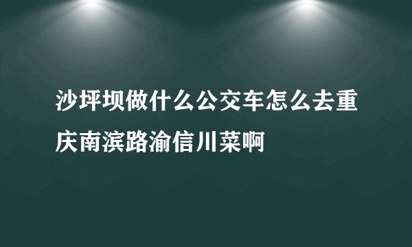 沙坪坝做什么公交车怎么去重庆南滨路渝信川菜啊