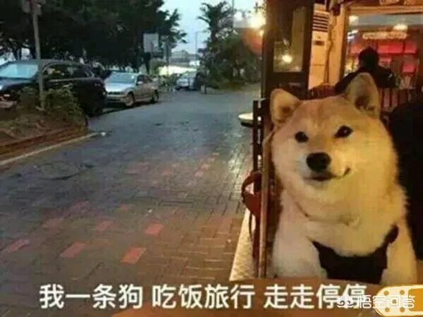 IG拿下S8世界总决赛冠军，王思聪被推上热搜第一，你怎么看？