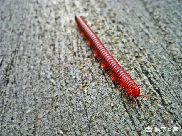 如何拍出锐利照片？