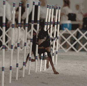 周四福利囧图云飞系列 体操队妹子果然很柔软很厉害