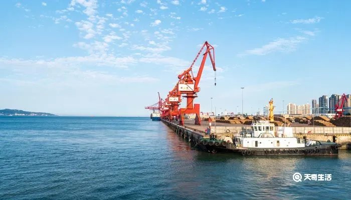 武汉新港是哪四个市