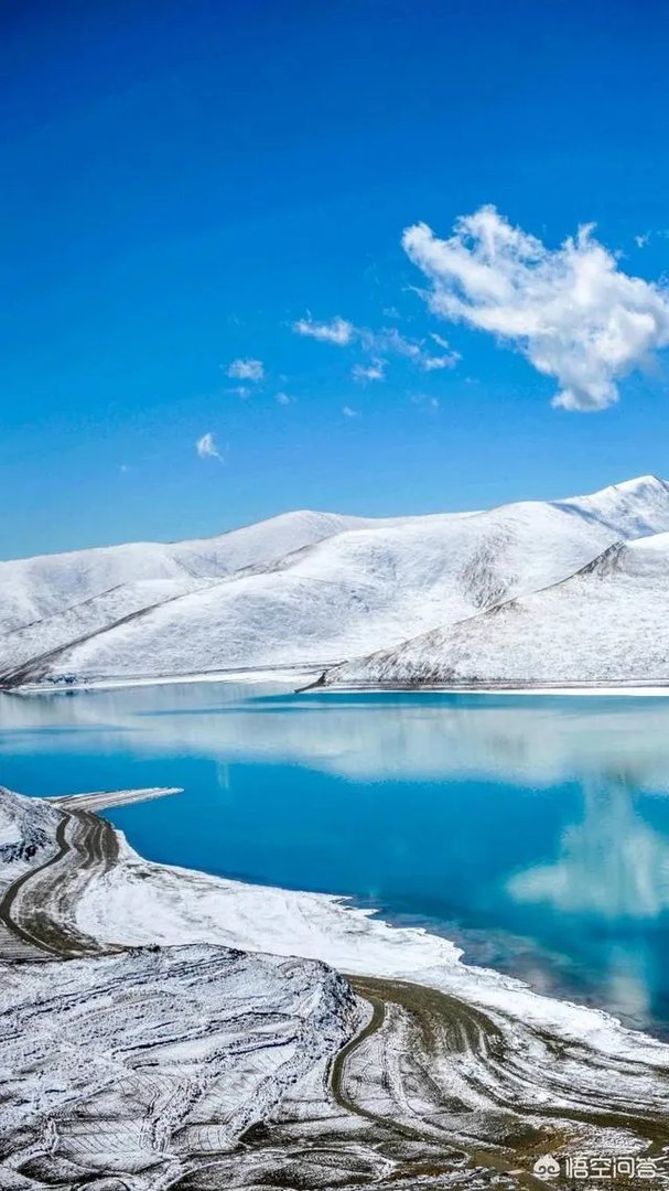 为什么称京剧表演艺术家袁慧琴是性感老旦？