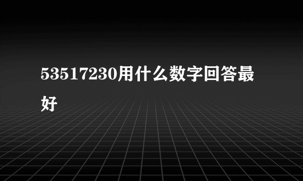 53517230用什么数字回答最好