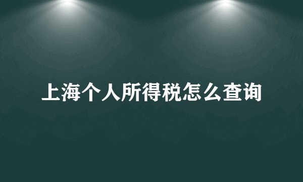 上海个人所得税怎么查询