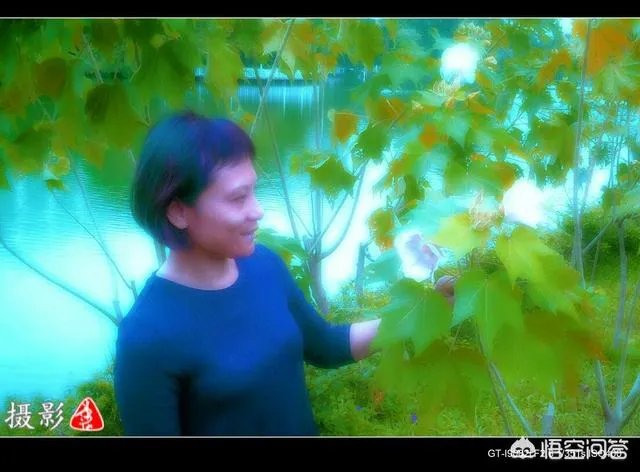 广州流花湖公园好玩嘛？