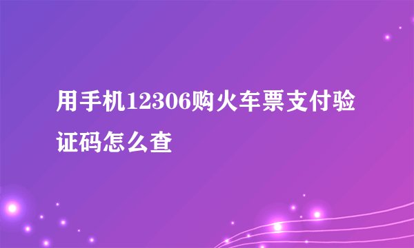 用手机12306购火车票支付验证码怎么查