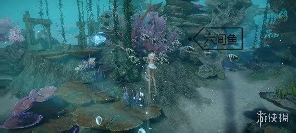 《天谕手游》鱼类图鉴大全 沉船附近鱼类位置一览
