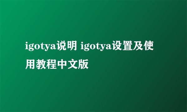 igotya说明 igotya设置及使用教程中文版
