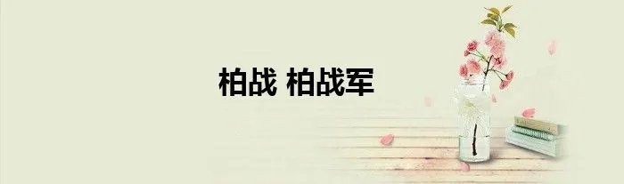 柏战 柏战军