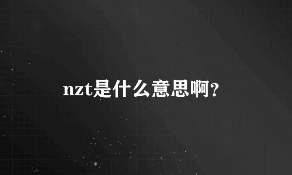 nzt是什么意思啊？