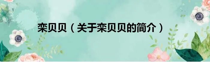 栾贝贝（关于栾贝贝的简介）