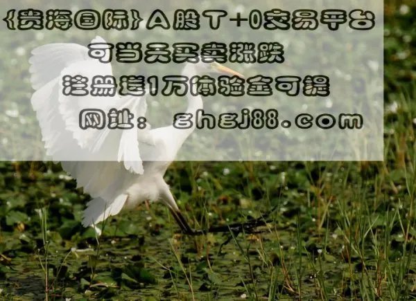 股票各板块龙头？