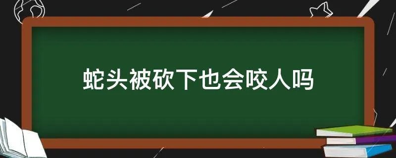 蛇头被砍下也会咬人吗