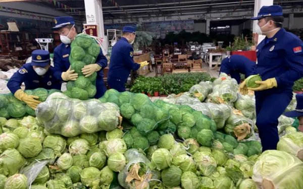 广州疫情蔬菜价格