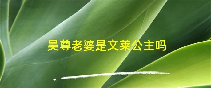 吴尊老婆是文莱公主吗