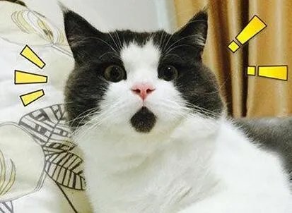 用“但是，我爱你”造一句最好的情话吧？