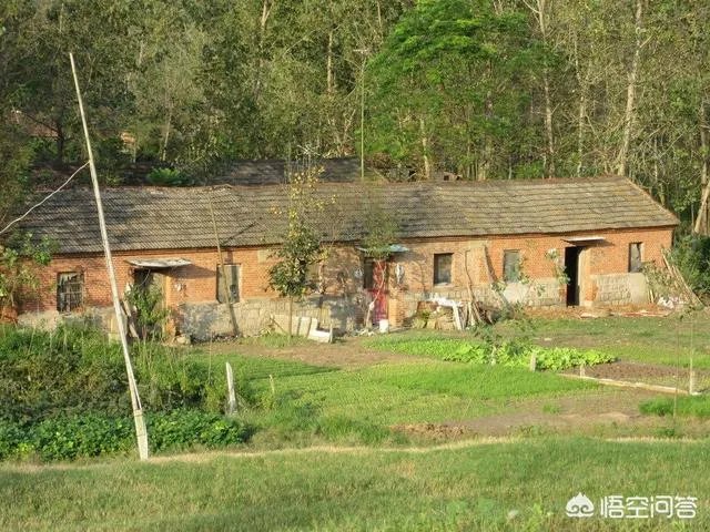 关于农业生产的俗语有哪些？