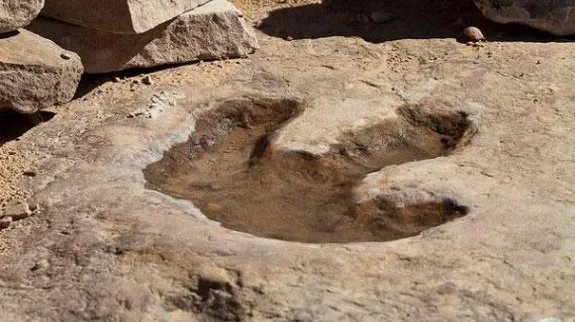 中国目前发现的最大恐龙足迹点在四川，这种足迹到底有多稀有？