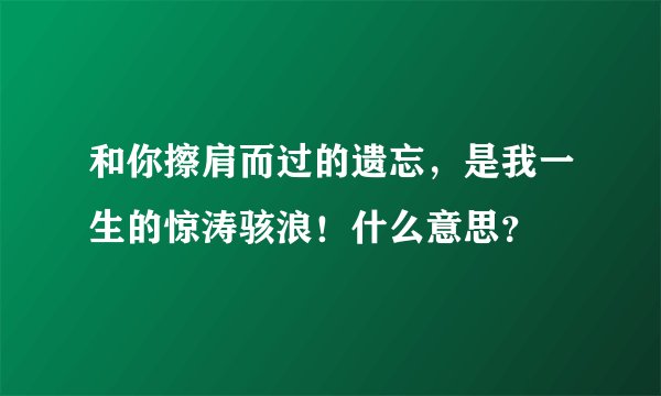 和你擦肩而过的遗忘，是我一生的惊涛骇浪！什么意思？