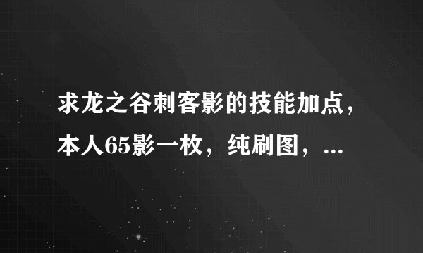 求龙之谷刺客影的技能加点，本人65影一枚，纯刷图，pk基本不进。