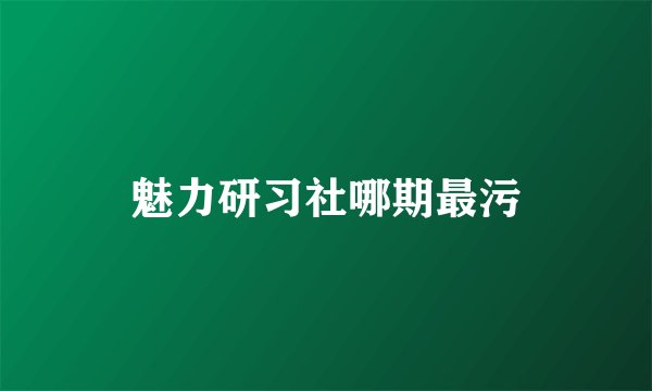 魅力研习社哪期最污