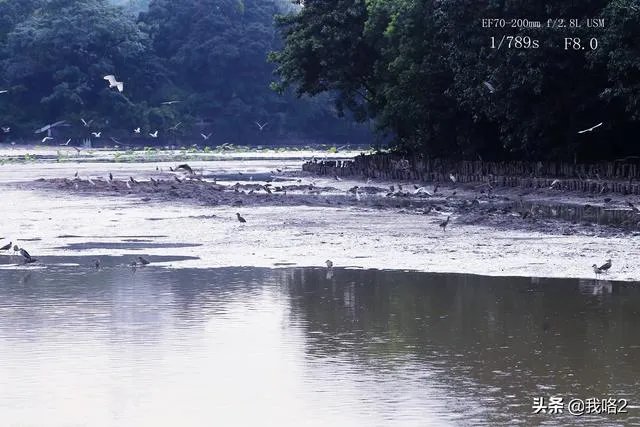 广州流花湖公园好玩嘛？