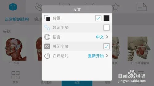 骨骼肌解剖visiblebody muscle中文版安装及设置