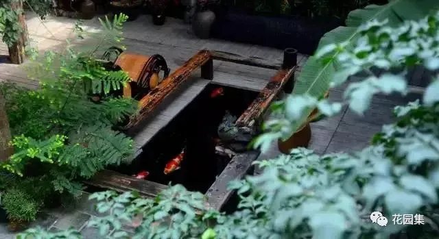 纯天然庭院鱼池打造攻略，生态、省心又实惠！赶紧收藏