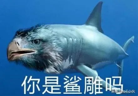 情侣半裸裹床单睡斑马线拍婚纱照，拿生命当儿戏，你有何看法？