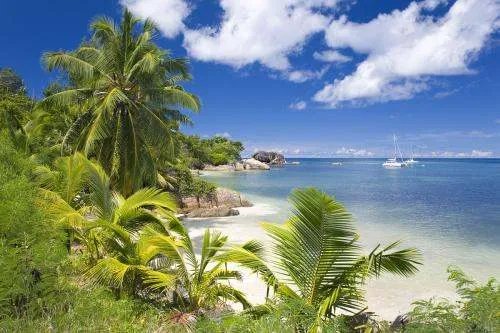 跨年怎么过？？