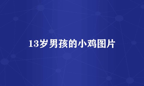 13岁男孩的小鸡图片