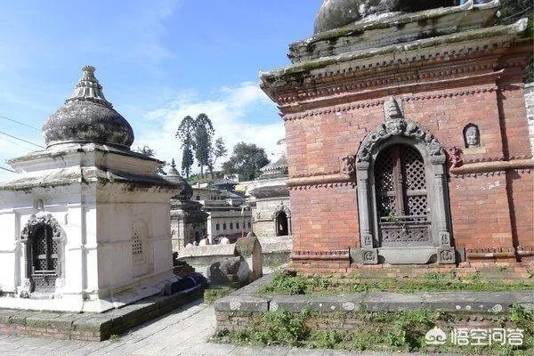 为何清迈寺庙因游客拍照而被迫关闭？