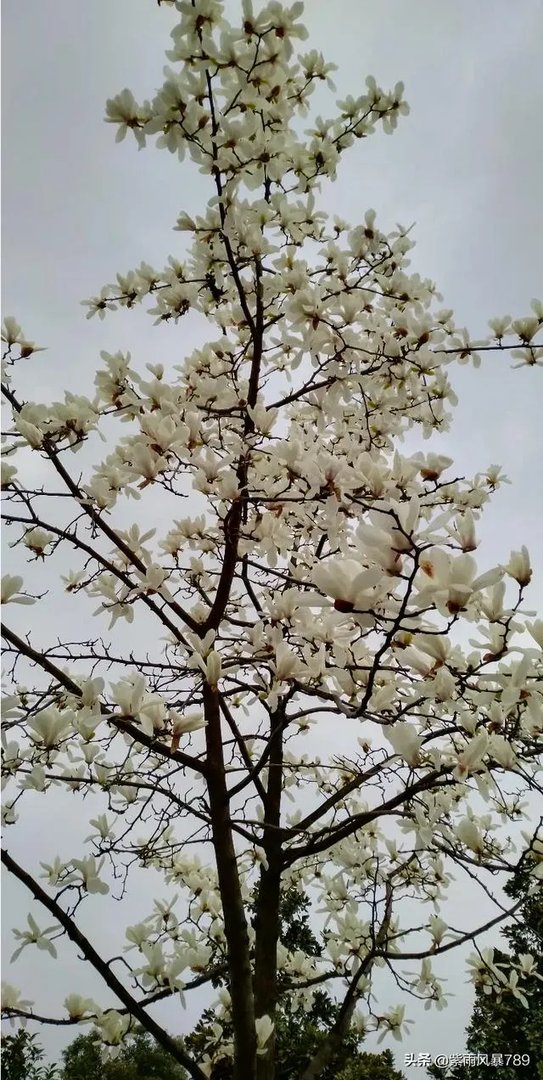 在这个三八妇女节，你对心中的女神最想说什么话？