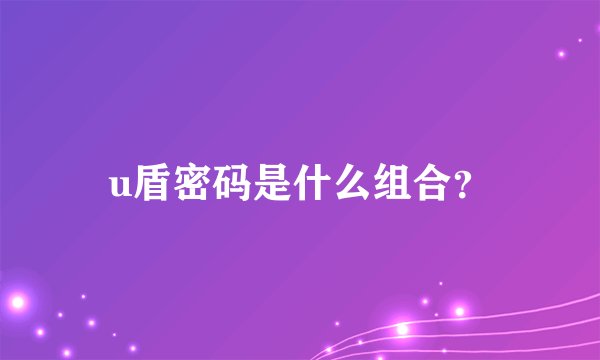 u盾密码是什么组合？