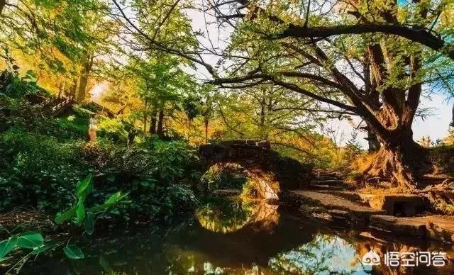 下联：墙里开花墙外红，上联如何对？